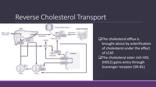 Reverse Cholesterol Transport
The cholesterol efflux is
brought about by esterification
of cholesterol under the effect
of LCAT.
The cholesteryl ester rich HDL
(HDL2) gains entry through
Scavenger receptor (SR-B1)
 