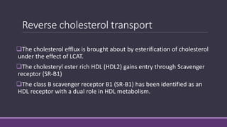 Reverse cholesterol transport
The cholesterol efflux is brought about by esterification of cholesterol
under the effect of LCAT.
The cholesteryl ester rich HDL (HDL2) gains entry through Scavenger
receptor (SR-B1)
The class B scavenger receptor B1 (SR-B1) has been identified as an
HDL receptor with a dual role in HDL metabolism.
 