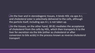 In the liver and in steroidogenic tissues, it binds HDL via apo A-I,
and cholesteryl ester is selectively delivered to the cells, although
the particle itself, including apo A-I, is not taken up.
In the tissues, on the other hand, SR-B1 mediates the acceptance
of cholesterol from the cells by HDL, which then transports it to the
liver for excretion via the bile (either as cholesterol or after
conversion to bile acids) in the process known as reverse cholesterol
transport
 