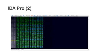 IDA Pro (2)
 