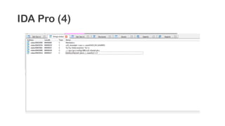 IDA Pro (4)
 
