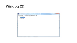 Windbg (2)
 