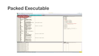Packed Executable
 