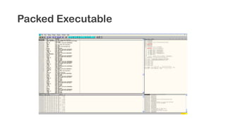 Packed Executable
 
