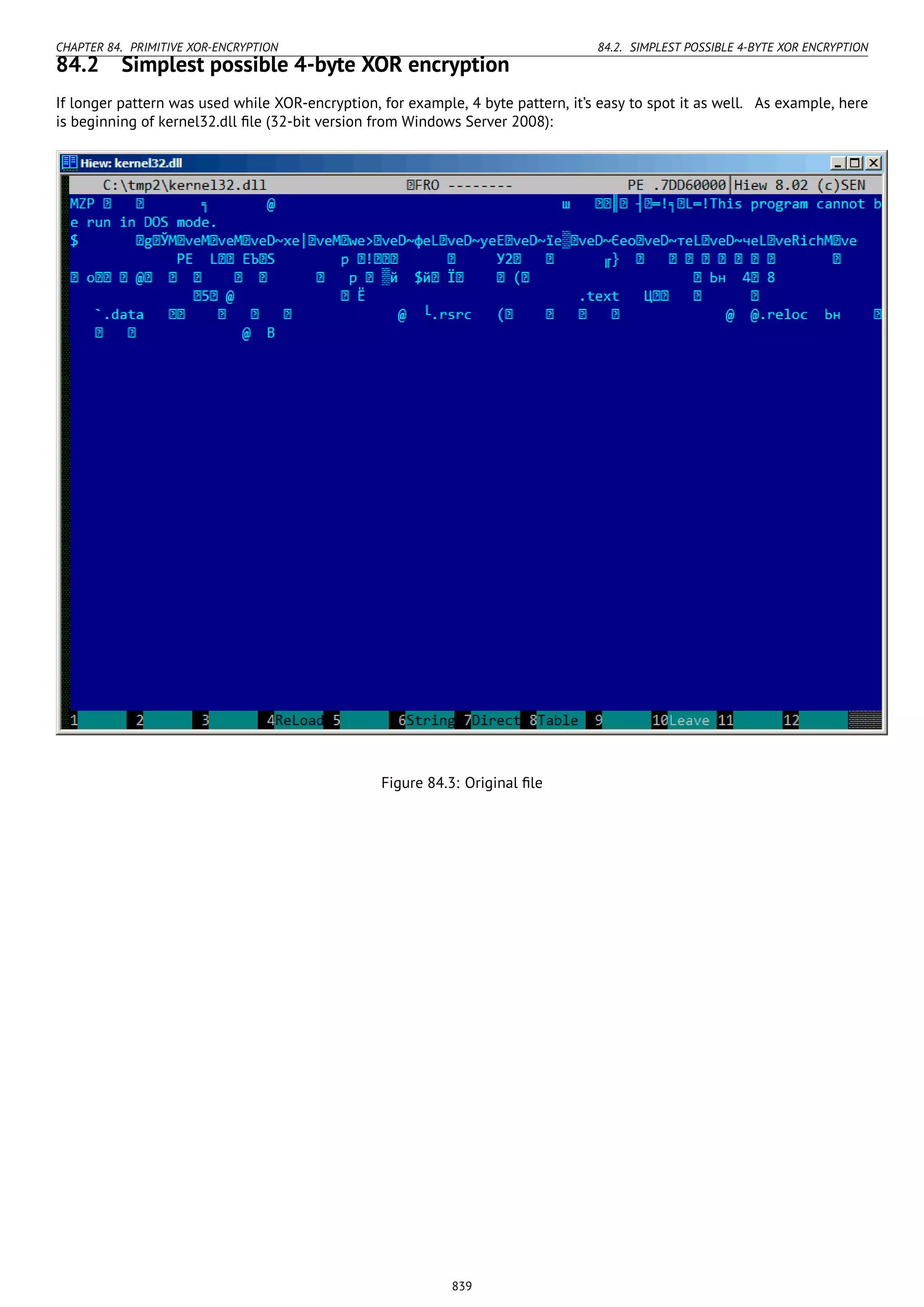 Reverse engineering for_beginners-en