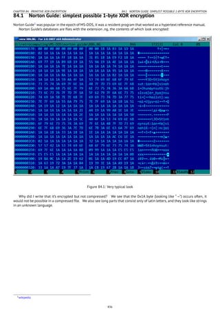 Reverse engineering for_beginners-en