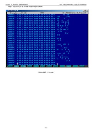 Reverse engineering for_beginners-en