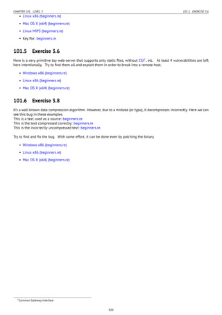 Reverse engineering for_beginners-en