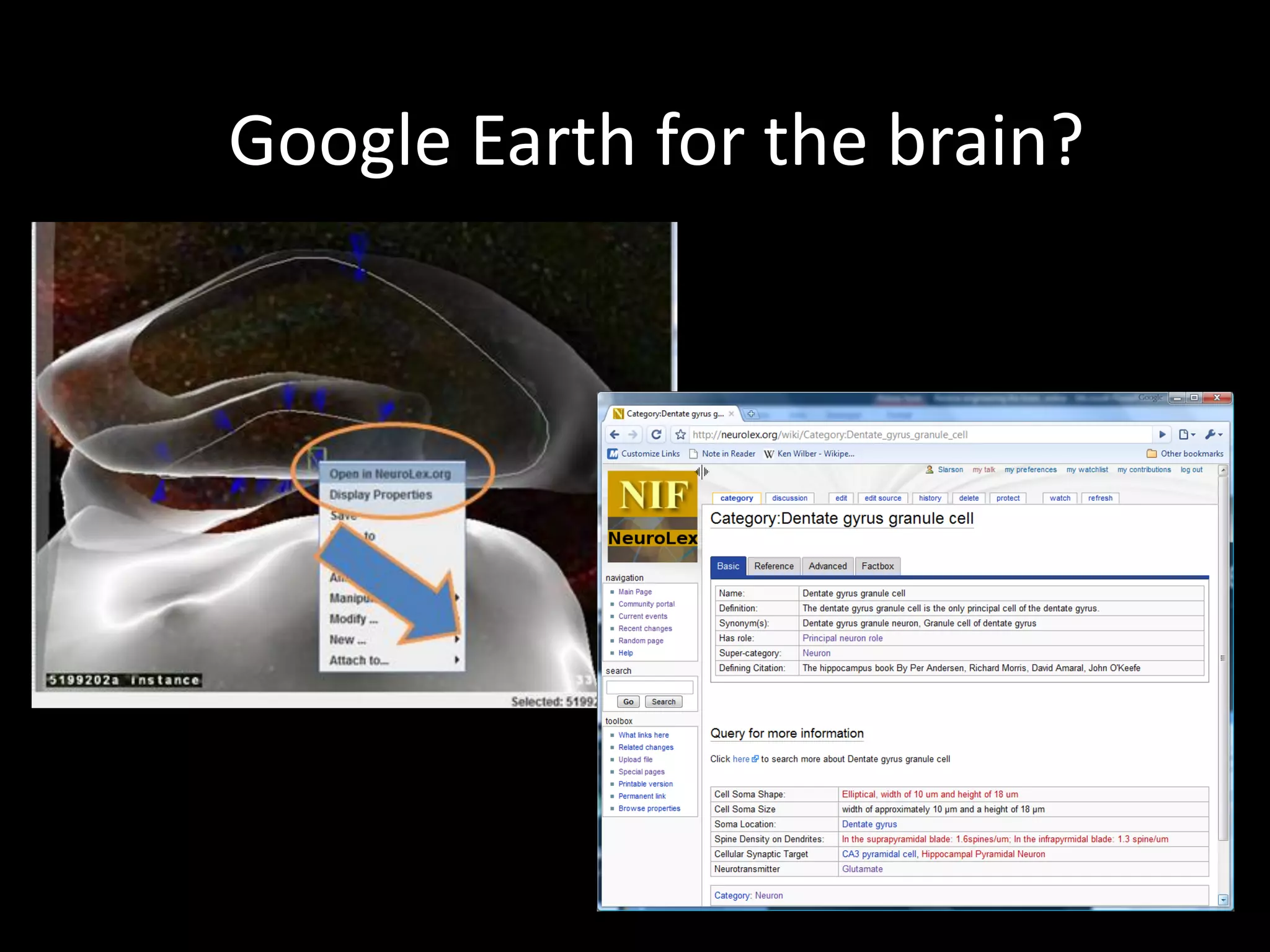 Reverse engineering the brain online pdf