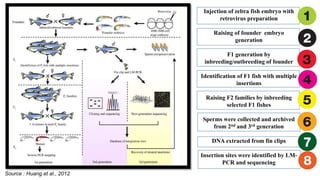 Fish Inbreeding Reverse genetics | PPTX