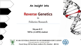 in
Fisheries Research
Shyam K U
MFSc (AAHM) student
An insight into
 