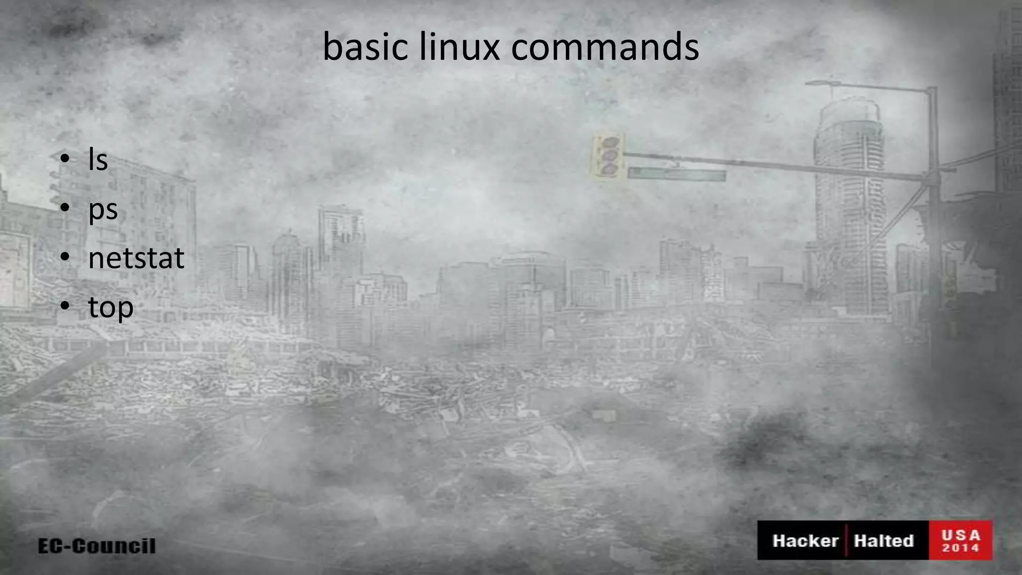 basic linux commands • ls • ps • netstat • top 