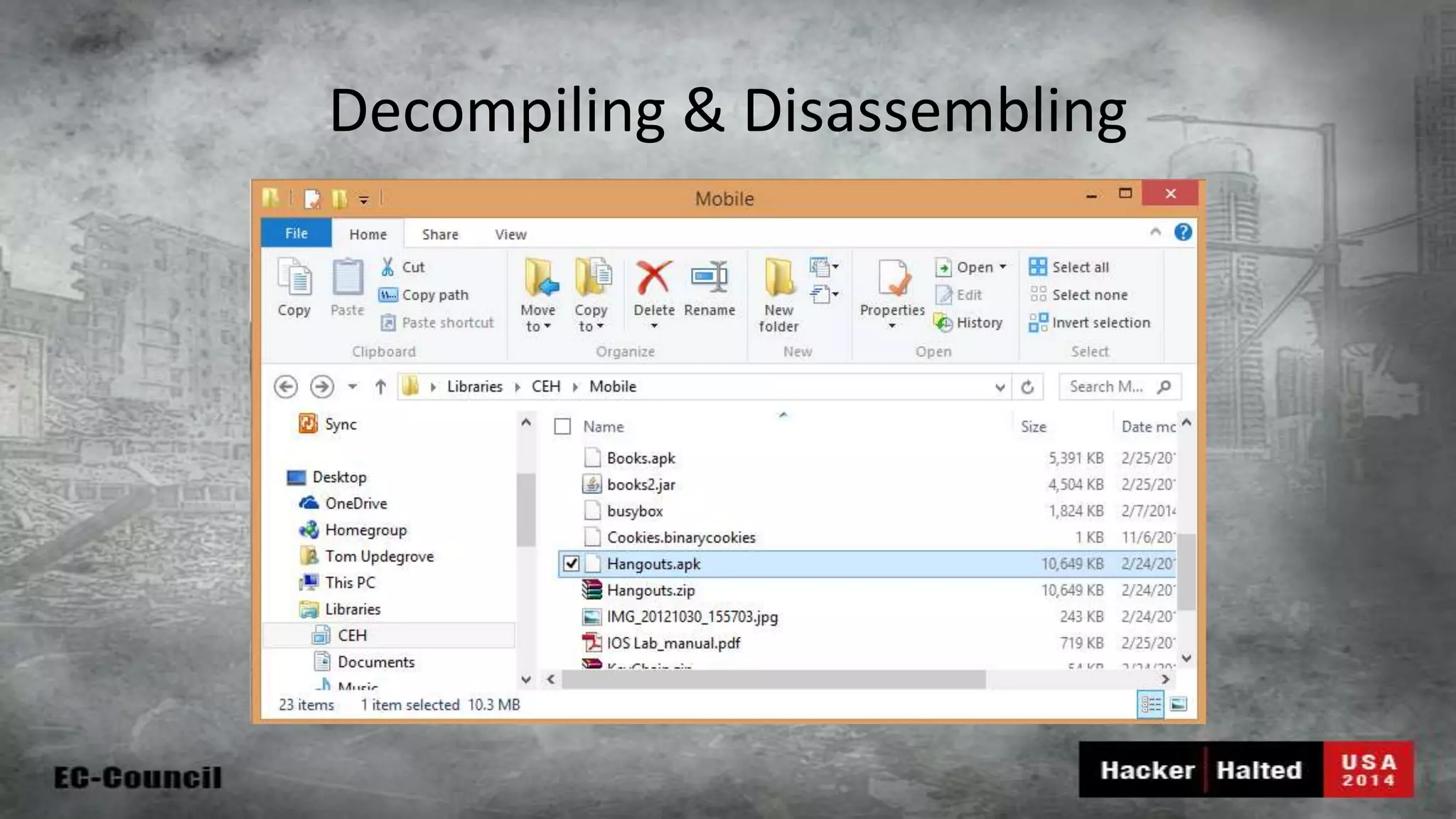 Decompiling & Disassembling 
