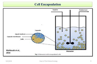 Reverse membrane bioreactor seminar ppt | PPTX
