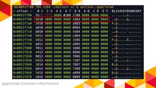 .gopclntab (function information)
 