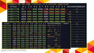 .gopclntab (name offset)
 