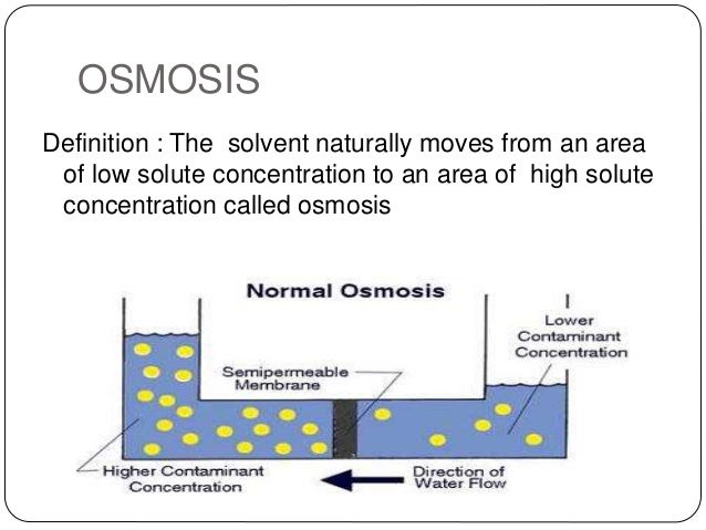 Reverse Osmosis