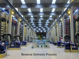 Reverse Osmosis Process
 