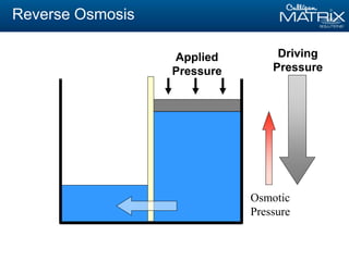 Reverse Osmosis
Driving
Pressure
Osmotic
Pressure
Applied
Pressure
 