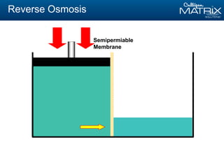 Semipermiable
Membrane
Reverse Osmosis
 