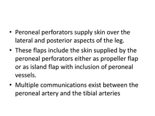 • Peroneal perforators supply skin over the
lateral and posterior aspects of the leg.
• These flaps include the skin supplied by the
peroneal perforators either as propeller flap
or as island flap with inclusion of peroneal
vessels.
• Multiple communications exist between the
peroneal artery and the tibial arteries