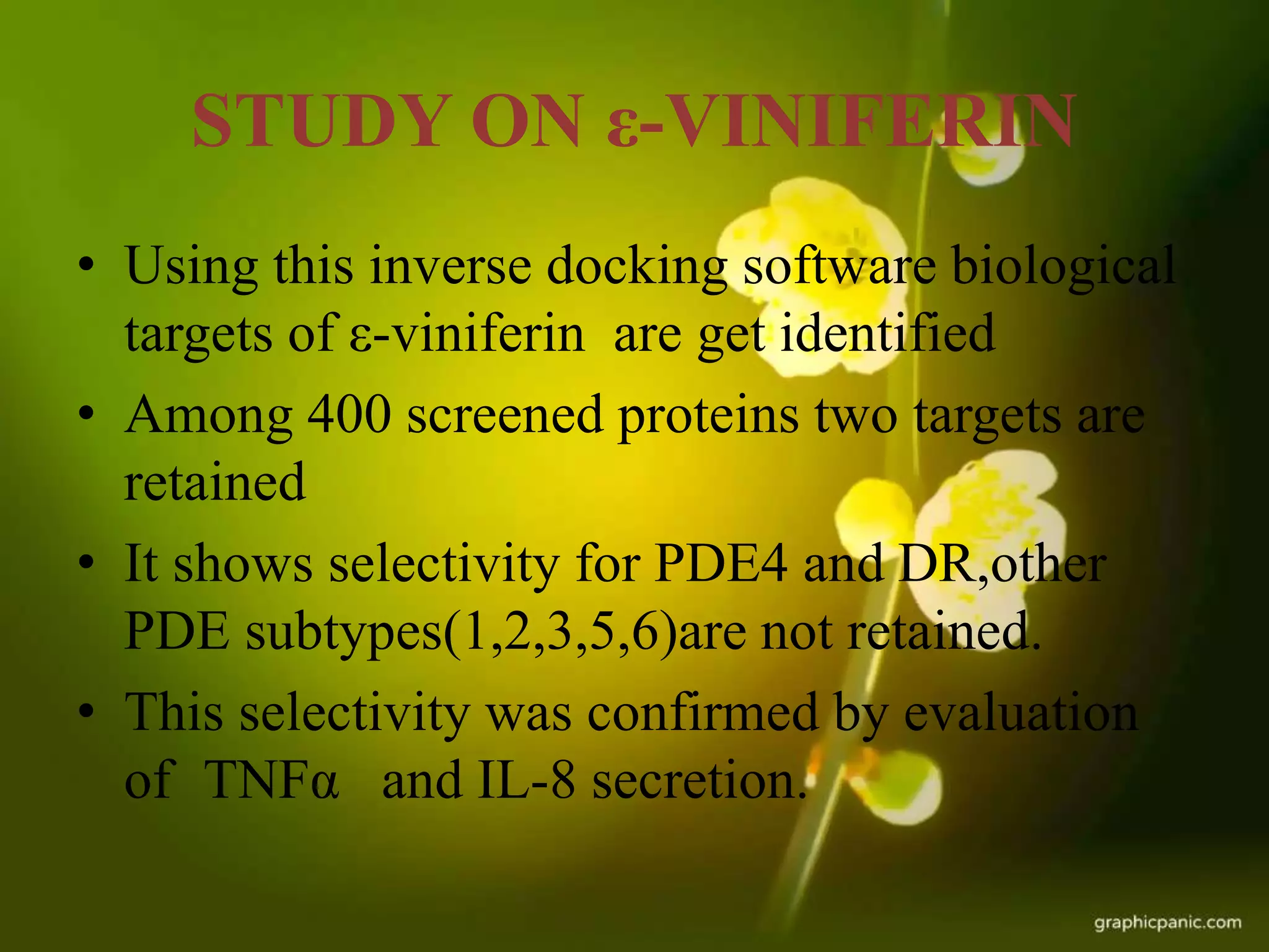 STUDY ON ε-VINIFERIN
• Using this inverse docking software biological
targets of ε-viniferin are get identified
• Among 400 screened proteins two targets are
retained
• It shows selectivity for PDE4 and DR,other
PDE subtypes(1,2,3,5,6)are not retained.
• This selectivity was confirmed by evaluation
of TNFα and IL-8 secretion.
 