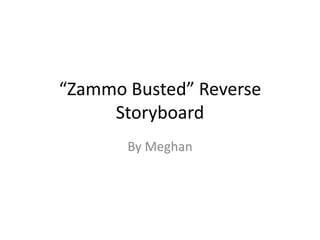 “Zammo Busted” Reverse
Storyboard
By Meghan
 