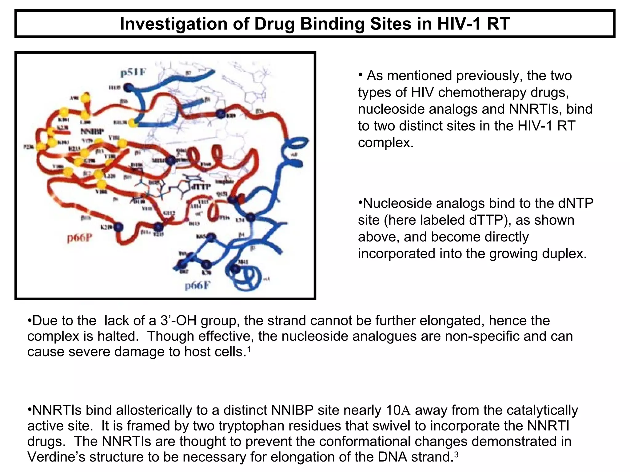 Investigation of Drug Binding Sites in HIV-1 RT Due to the  lack of a 3’-OH group, the strand cannot be further elongated, hence the complex is halted.  Though effective, the nucleoside analogues are non-specific and can cause severe damage to host cells. 1 NNRTIs bind allosterically to a distinct NNIBP site nearly 10   away from the catalytically active site.  It is framed by two tryptophan residues that swivel to incorporate the NNRTI drugs.  The NNRTIs are thought to prevent the conformational changes demonstrated in Verdine’s structure to be necessary for elongation of the DNA strand. 3 As mentioned previously, the two types of HIV chemotherapy drugs, nucleoside analogs and NNRTIs, bind to two distinct sites in the HIV-1 RT complex. Nucleoside analogs bind to the dNTP site (here labeled dTTP), as shown above, and become directly incorporated into the growing duplex. 