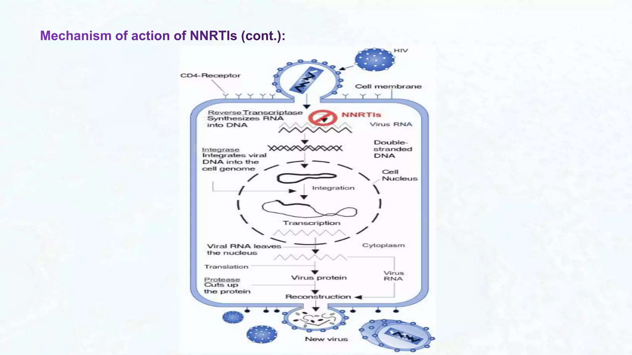Reverse Transcriptase Inhibitors & Their Resistance.pptx