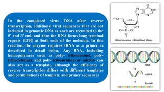 Viral Reverse Transcriptase Process Reverse Transcriptase New Project.pptx