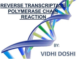 REVERSE TRANSCRIPTASE
POLYMERASE CHAIN
REACTION
BY:
 