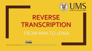 FROM RNATO cDNA
 