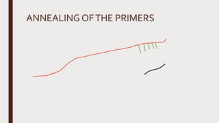 ANNEALING OFTHE PRIMERS
 