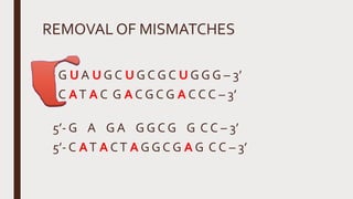REMOVAL OF MISMATCHES
5’- G U A U G C U G C G C U G G G – 3’
5’- C AT A C G A C G C G A C C C – 3’
5’- G A G A G G C G G C C – 3’
5’- C AT A CT A G G C G A G C C – 3’
 