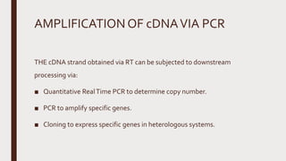 AMPLIFICATION OF cDNAVIA PCR
THE cDNA strand obtained via RT can be subjected to downstream
processing via:
■ Quantitative RealTime PCR to determine copy number.
■ PCR to amplify specific genes.
■ Cloning to express specific genes in heterologous systems.
 