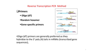 Reverse Transcription PCR | PPT
