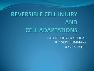 REVERSIBLE CELL INJURY AND CELL ADAPTATIONS PATHOLOGY PRACTICAL8TH SEPT SUMMARY RAVI A PATEL 