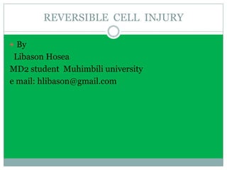 REVERSIBLE CELL INJURY

 By
 Libason Hosea
MD2 student Muhimbili university
e mail: hlibason@gmail.com
 
