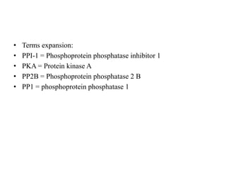 • Terms expansion:
• PPI-1 = Phosphoprotein phosphatase inhibitor 1
• PKA = Protein kinase A
• PP2B = Phosphoprotein phosphatase 2 B
• PP1 = phosphoprotein phosphatase 1
 