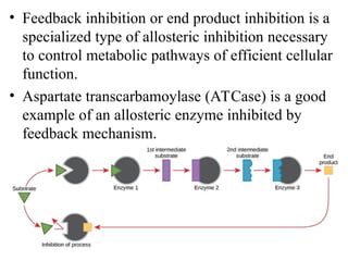 Reversible, irreversible and allosteric Enzyme Inhibition.ppt