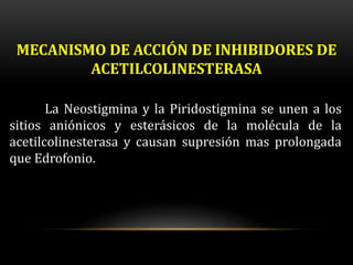 MECANISMO DE ACCIÓN DE INHIBIDORES DE
ACETILCOLINESTERASA
La Neostigmina y la Piridostigmina se unen a los
sitios aniónico...