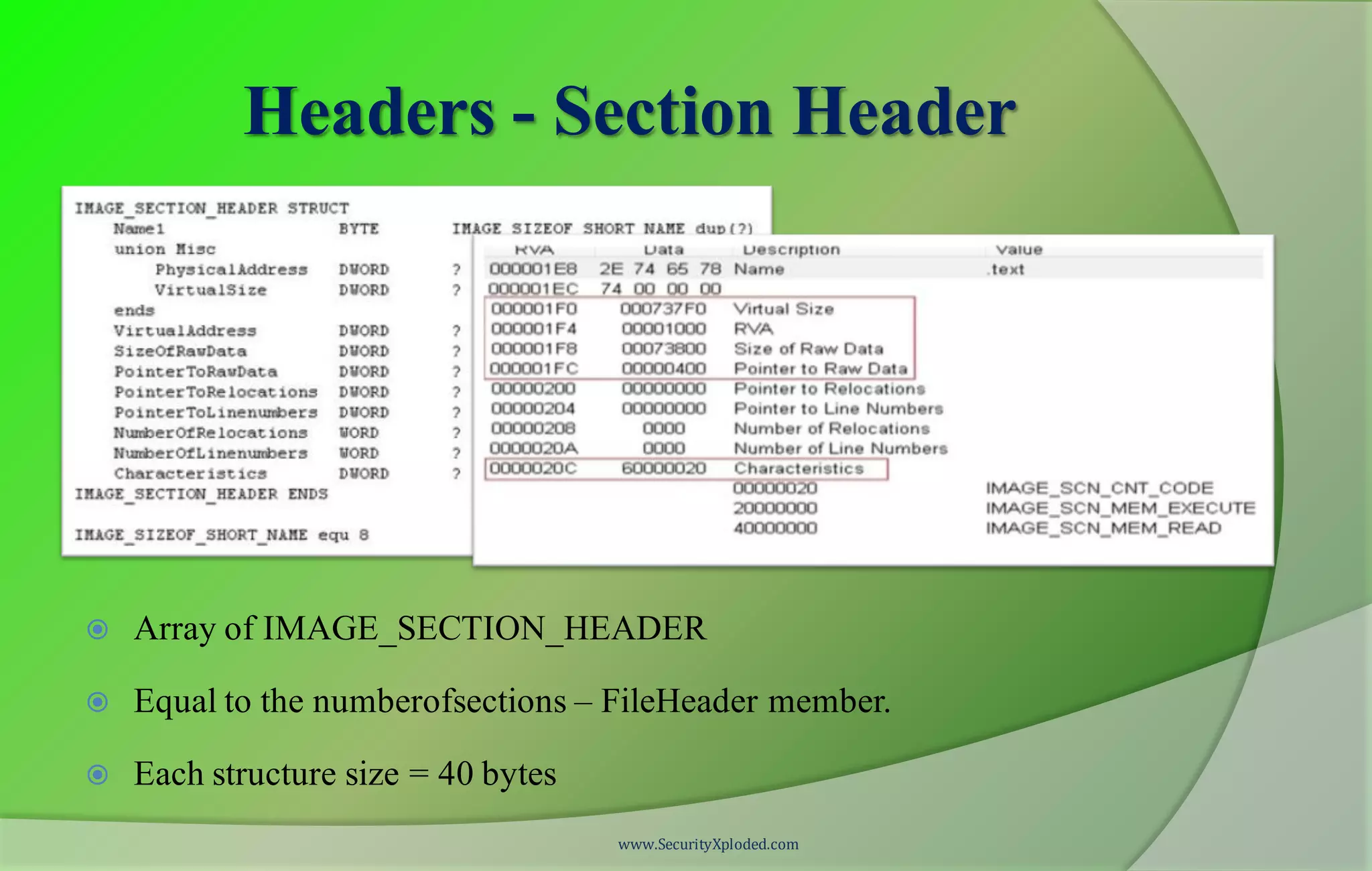 Headers - Section Header
 Array of IMAGE_SECTION_HEADER
 Equal to the numberofsections – FileHeader member.
 Each structure size = 40 bytes
www.SecurityXploded.com
 