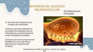 REVERSION DEL BLOQUEO
NEUROMUSCULAR
Anestesiología de Miller, 9na Edicion, Capitulo 28 , Pagina
832
Tres Mecanismos
Principales
1) Aumento de la liberación pre
sináptica de acetilcolina.
2) Disminución del metabolismo
enzimático de acetilcolina por la
Colinesterasa, aumentando así la
unión competitiva al receptor.
3) Disminución de la concentración
del BNM en la zona del efecto,
liberando los receptores pos
sináptico
 