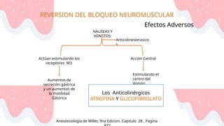 REVERSION DEL BLOQUEO NEUROMUSCULAR
Anestesiología de Miller, 9na Edicion, Capitulo 28 , Pagina
Efectos Adversos
NAUSEAS Y
VOMITOS
Anticolinesterasico
s
Actúan estimulando los
receptores M3
Acción Central
Aumentos de
secreción gástrica
y un aumentos de
la motilidad
Gástrica
Estimulando el
centro del
Vomito
Los Anticolinérgicos
ATROPINA Y GLICOPIRROLATO
 