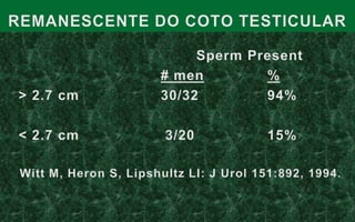  Taxa de patência – 66,7%MESMA PARCEIRABelkeretal, J Urol, 1991.
