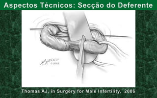 Habilidademicrocirúrgica