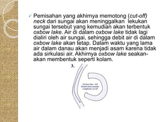  Pemisahan yang akhirnya memotong (cut-off) 
neck dari sungai akan meninggalkan lekukan 
sungai tersebut yang kemudian akan terbentuk 
oxbow lake. Air di dalam oxbow lake tidak lagi 
dialiri oleh air sungai, sehingga debit air di dalam 
oxbow lake akan tetap. Dalam waktu yang lama 
air dalam danau akan menjadi asam karena tidak 
ada sirkulasi air. Akhirnya oxbow lake seakan-akan 
membentuk seperti kolam. 
 
