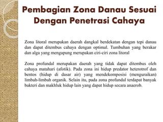 Pembagian Zona Danau Sesuai 
Dengan Penetrasi Cahaya 
Zona litoral merupakan daerah dangkal berdekatan dengan tepi danau 
dan dapat ditembus cahaya dengan optimal. Tumbuhan yang berakar 
dan alga yang mengapung merupakan ciri-ciri zona litoral 
Zona profundal merupakan daerah yang tidak dapat ditembus oleh 
cahaya matahari (afotik). Pada zona ini hidup predator heterotrof dan 
bentos (hidup di dasar air) yang mendekomposisi (menguraikan) 
limbah-limbah organik. Selain itu, pada zona profundal terdapat banyak 
bakteri dan makhluk hidup lain yang dapat hidup secara anaerob. 
 
