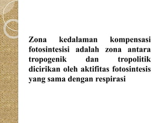 Zona kedalaman kompensasi 
fotosintesisi adalah zona antara 
tropogenik dan tropolitik 
dicirikan oleh aktifitas fotosintesis 
yang sama dengan respirasi 
 