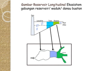 Gambar Reservoir Longitudinal Ekosistem 
gabungan reservoir/ waduk/ danau buatan 
Dam 
Lacustrine Trans Riverine 
River 
inflow 
Lacustrine Trans 
Riverine 
 